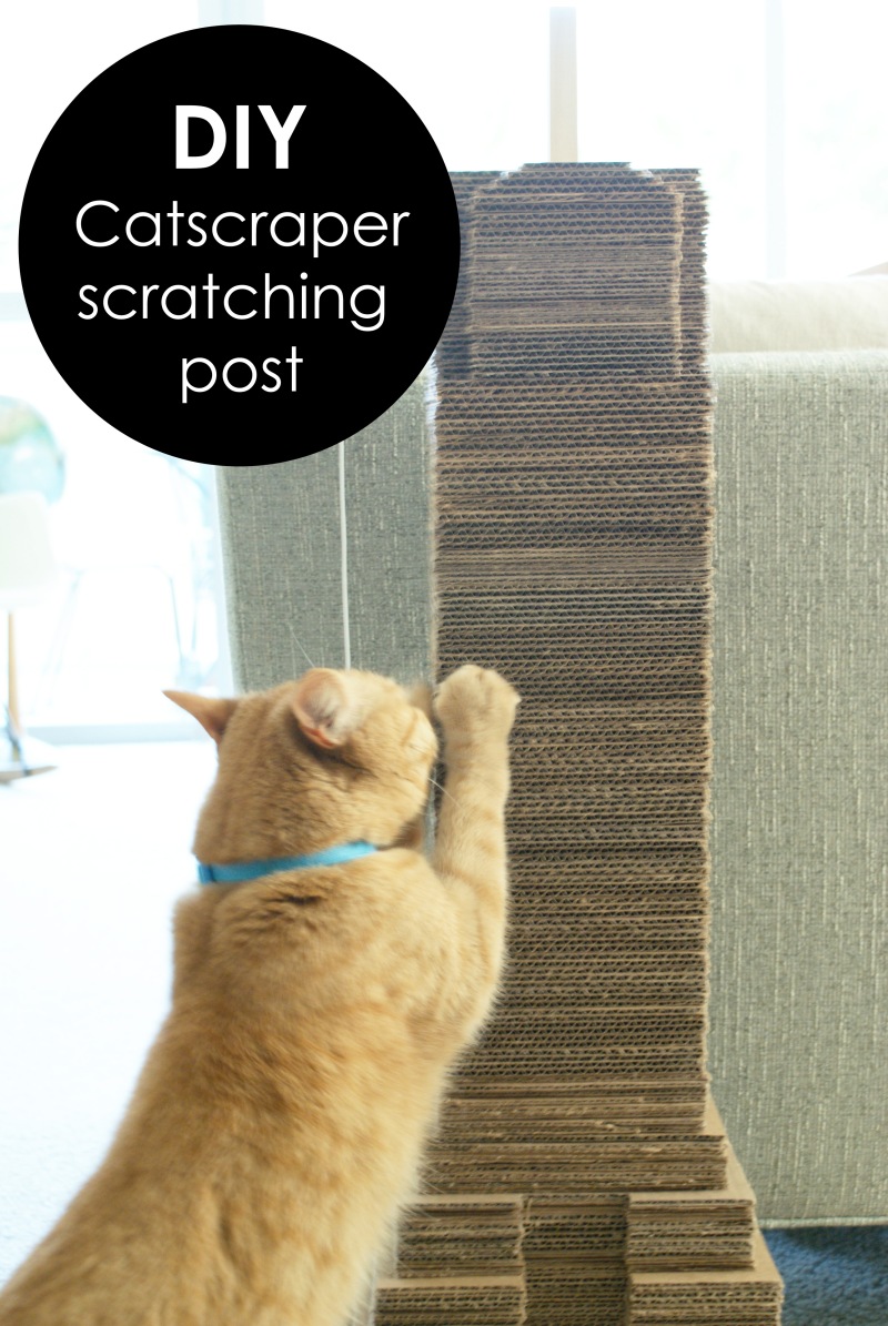 DIY Cardboard Cat Scratching Post